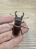 縮圖 7