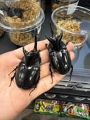 縮圖 3
