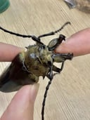 縮圖 1
