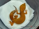 縮圖 3