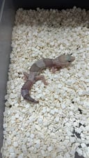 縮圖 3